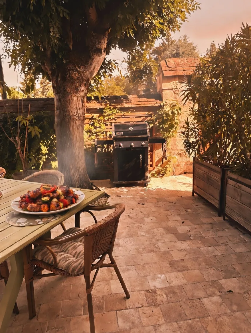 Barbecue — brochettes