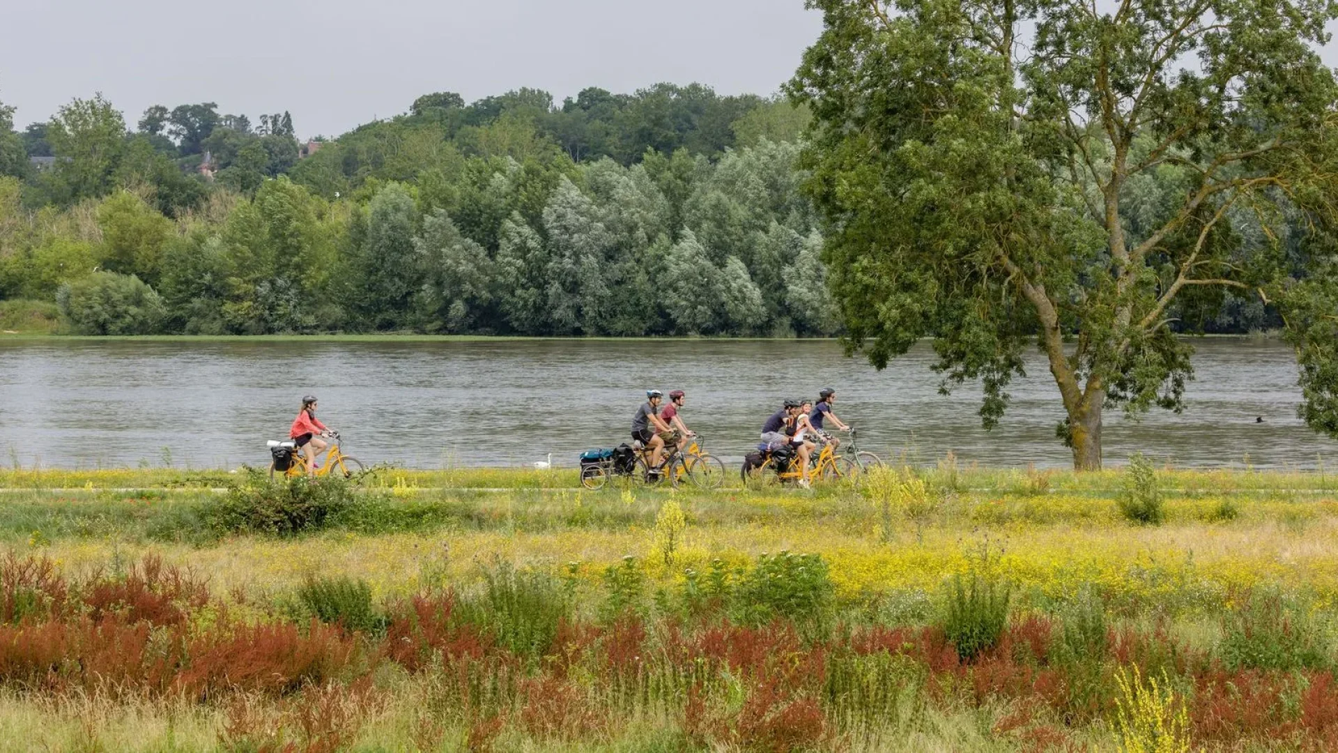 Cyclistes sur la véloroute le long de la Loire