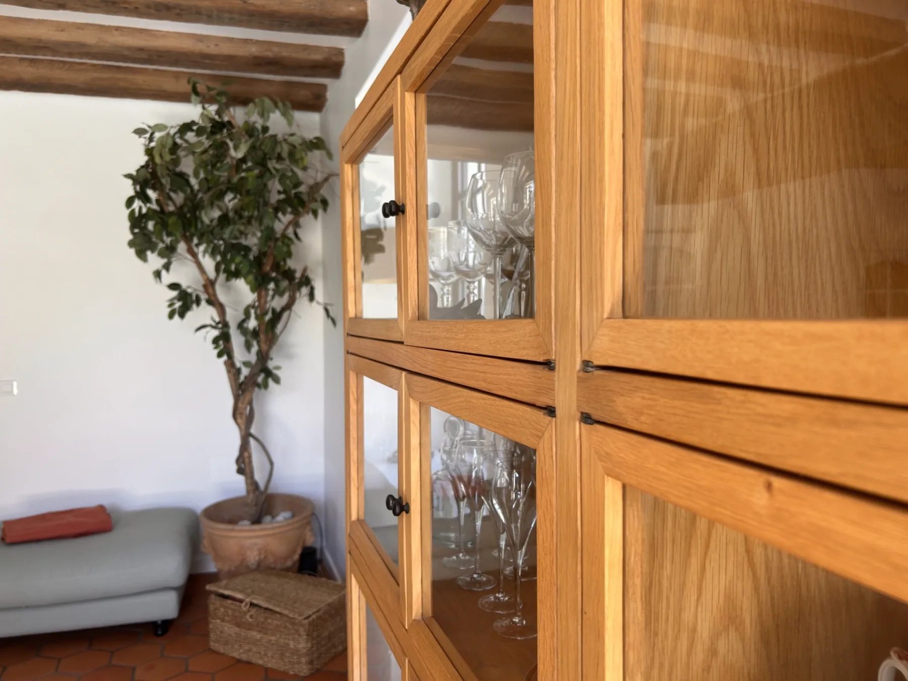 Salon — vitrine et plantes