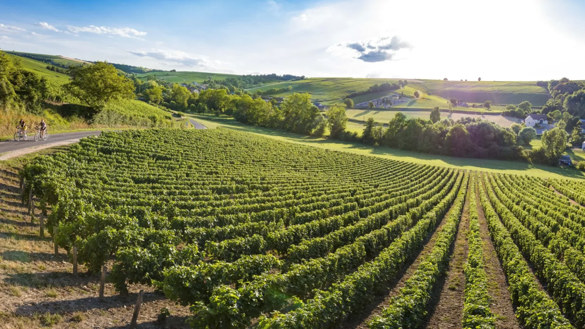 Vignobles de Sancerre — coteaux et rangs de vignes, cyclistes sur la route